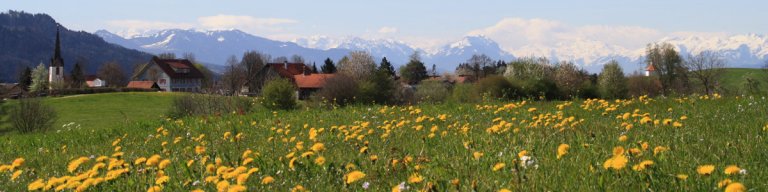 Dorfansicht mit Rathaus 1570--1200x300.jpg